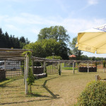 Biergarten Elchenreute Bad Waldsee