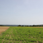 Hochebene bei Upflamör Aussicht