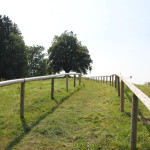 Weg zur Schillerlinde in Alttann