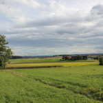 Blick auf Alpen vom Schorren Oberschwaben