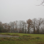 Blick über Warthausen im Nebel