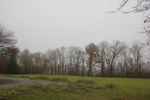 Blick über Warthausen im Nebel