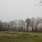 Blick-über-Warthausen-im-Nebel