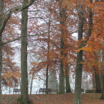 Gigelberg Biberach