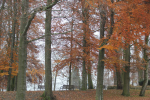 Gigelberg Biberach