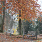 Gigelberg Biberach Naherholungsgebiet