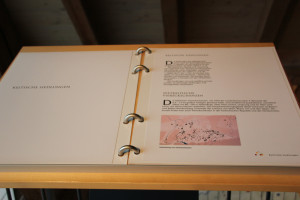 Kelten im Römermuseum