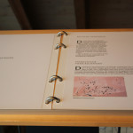 Kelten im Römermuseum