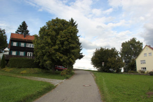 Kreuzung Arisheim