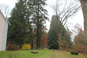 Schloss Park Warthausen
