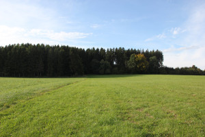 Schorren Bad Waldsee