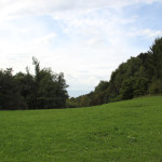 Schorren Oberschwaben Bad Waldsee