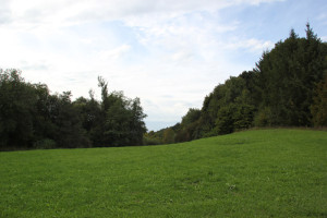 Schorren Oberschwaben Bad Waldsee