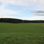 Wanderweg Arisheim Schorren