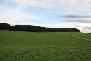 Wanderweg Arisheim Schorren