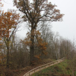 Wanderweg Station Gedenkstein auf Anhöhe