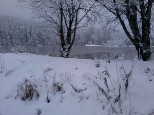 Eschacher Weiher Winter