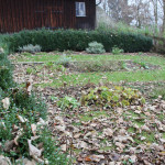 Kräutergarten-Gigelberg-Biberach