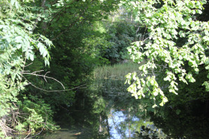 Urbach Bad Waldsee
