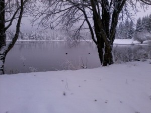 Winterlandschaft Allgäu