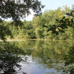 Flora-Fauna-Schloßsee-Bad-Waldsee