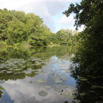 Schloßsee-Bad-Waldsee