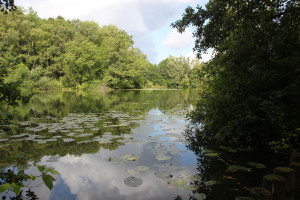 Schloßsee-Bad-Waldsee