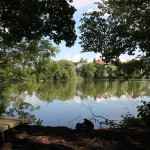 Schloßsee-Bad-Waldsee-Bank-Blick