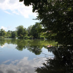 Ufergrundstücke-Schloßsee-Bad-Waldsee