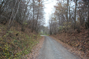 Abschnitt Archäologischer Wanderweg