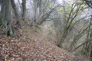 Archäologischer Wanderweg Ennetacher Berg