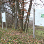 Archäologischer Wanderweg Station 7 & 8