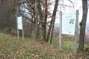 Archäologischer-Wanderweg-Station-7-8
