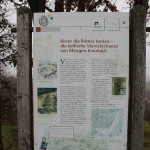 Archäologischer Wanderweg Station 8