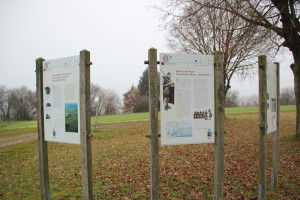 Archäologischer-Wanderweg-Stationen-456