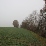 Feldrand -Archäologischer Wanderweg Ennetacher Berg