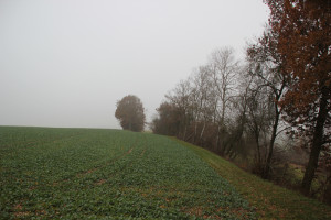 Feldrand -Archäologischer Wanderweg Ennetacher Berg