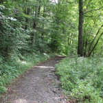 Naturlehrpfad Wolfegg