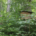 Verdecktes Schild Naturlehrpfad Wolfegg