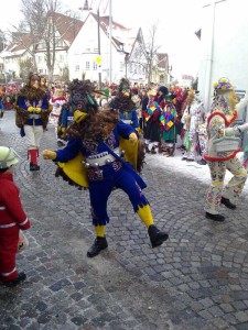 Vogelnarr Baienfurt