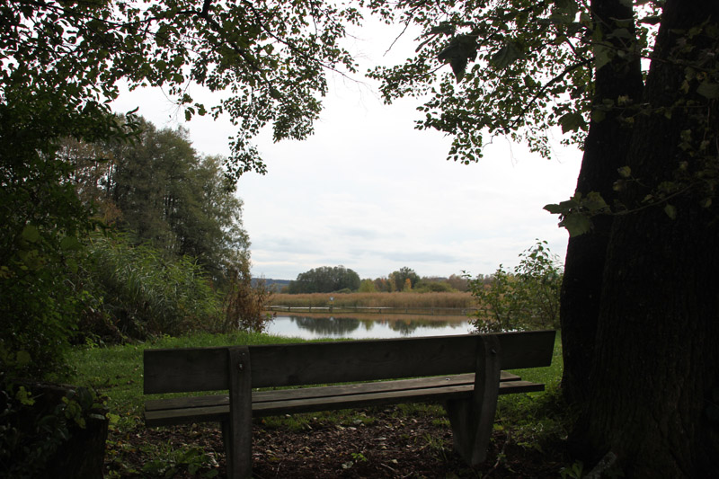 Vogelfreistätte Lindenweiher bei Unteressendorf | Oberschwaben