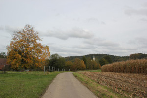 Weg zum Lindenweiher