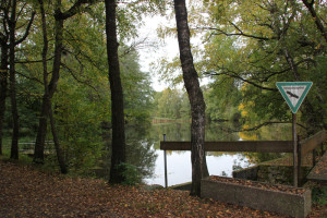 Lindenweiher Oberschwaben