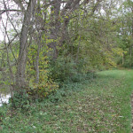 Pfad ins Naturschutzgebiet Lindenweiher
