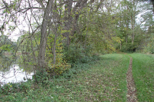 Pfad ins Naturschutzgebiet Lindenweiher