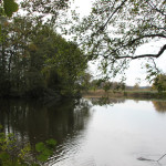 Lindenweiher Naturschutzgebiet