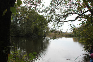 Lindenweiher Naturschutzgebiet