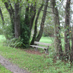 Sitzbank am Lindenweiher