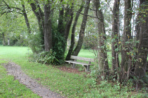 Sitzbank am Lindenweiher