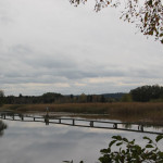 Lindenweiher Oberschwaben